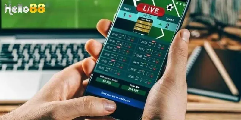 Các loại kèo Malaysia phổ biến tại nhiều nhà cái